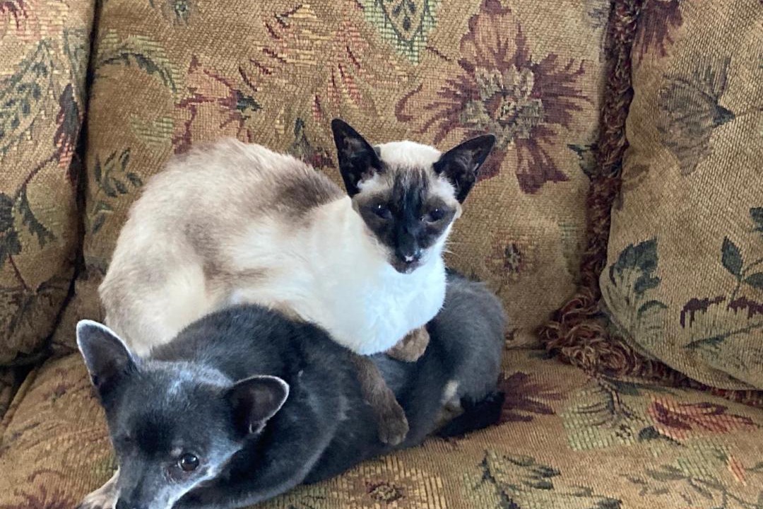 Photo of Others in Cochrane