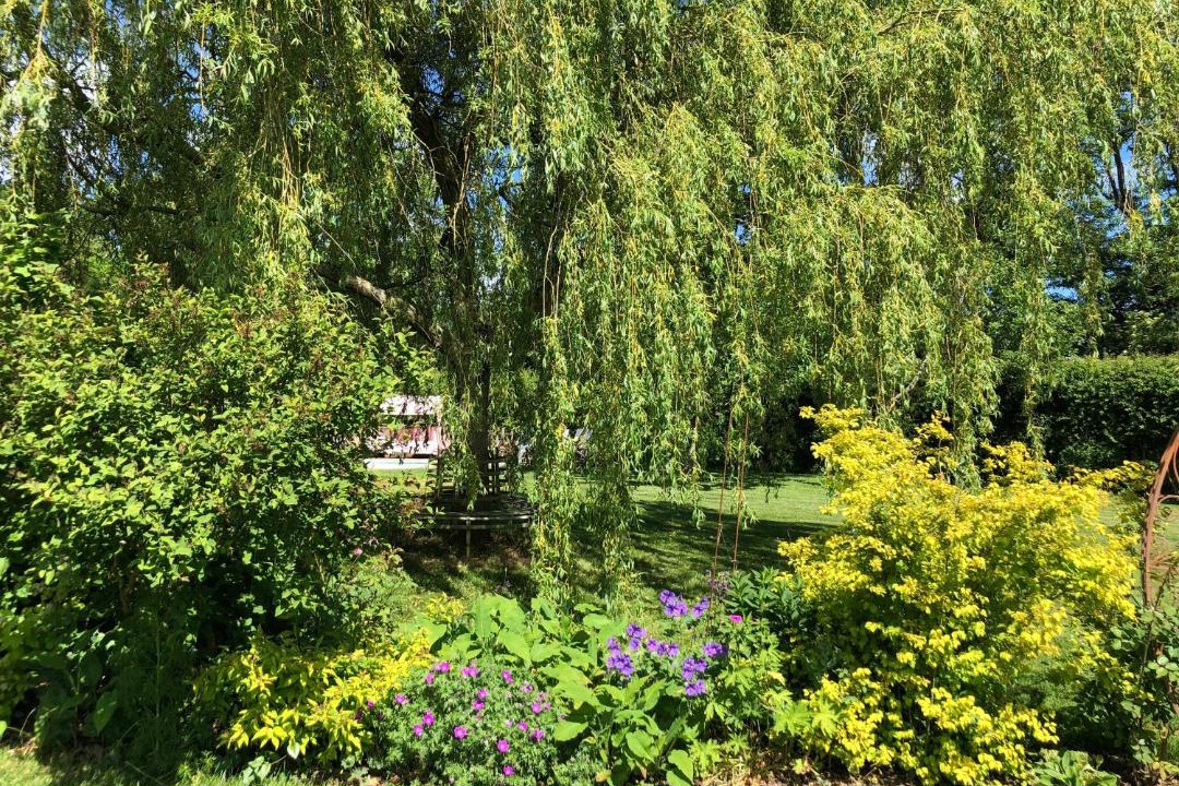 Photo of Outdoor in Culworth