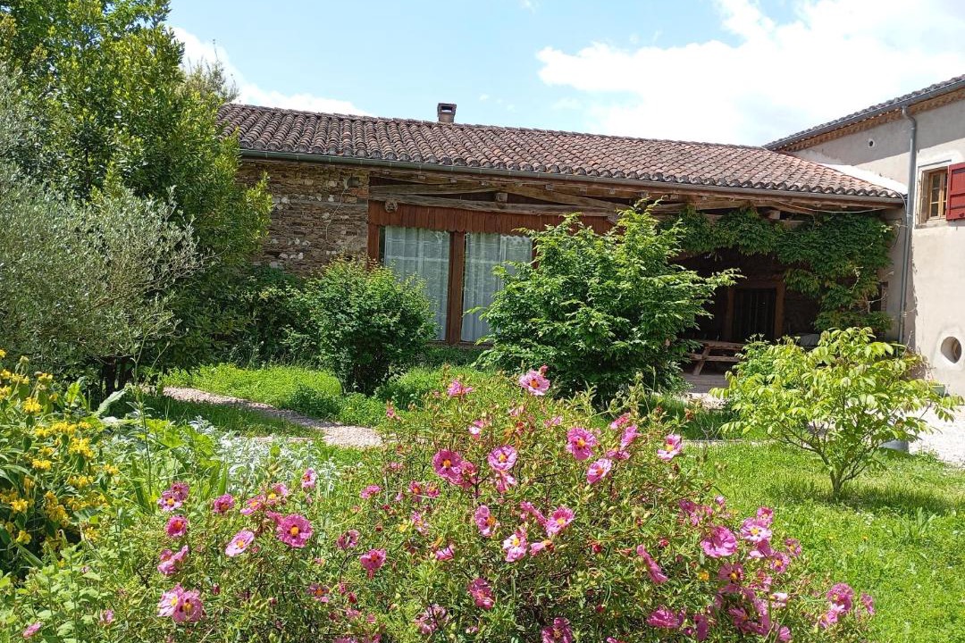 Photo of Others in Andouque