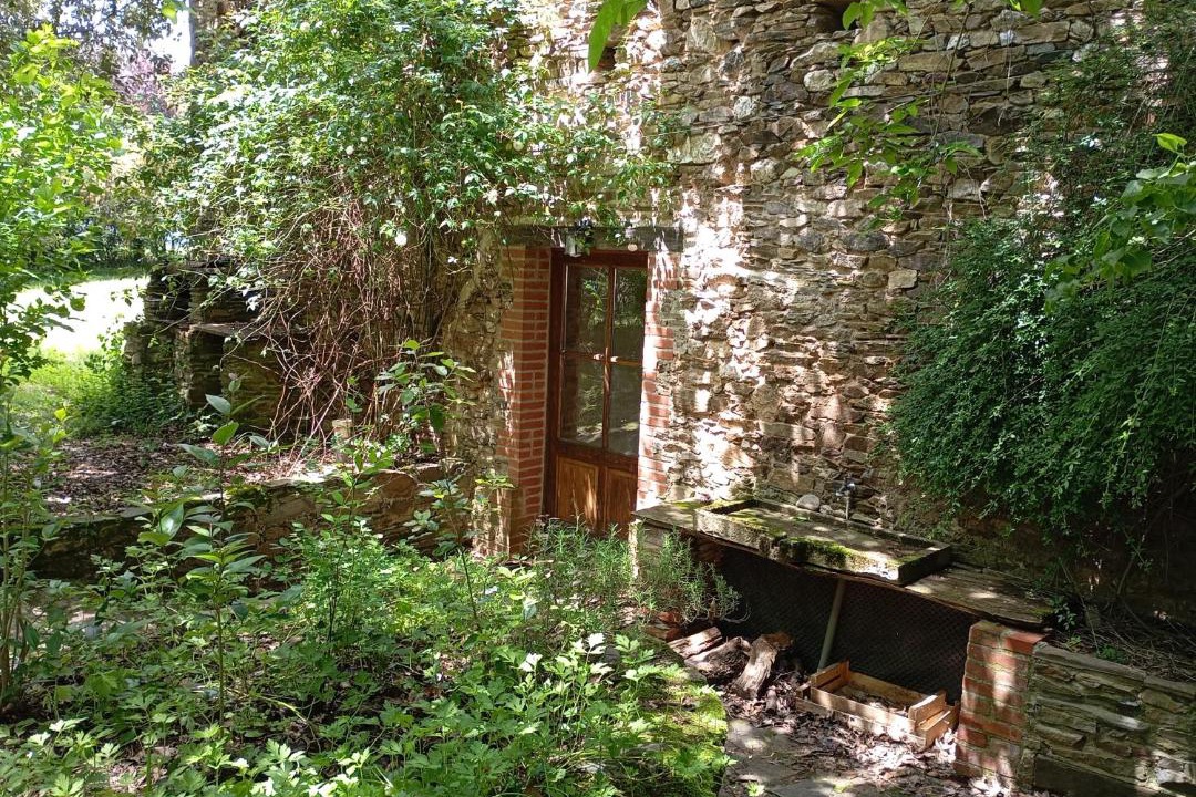 Photo of Others in Andouque