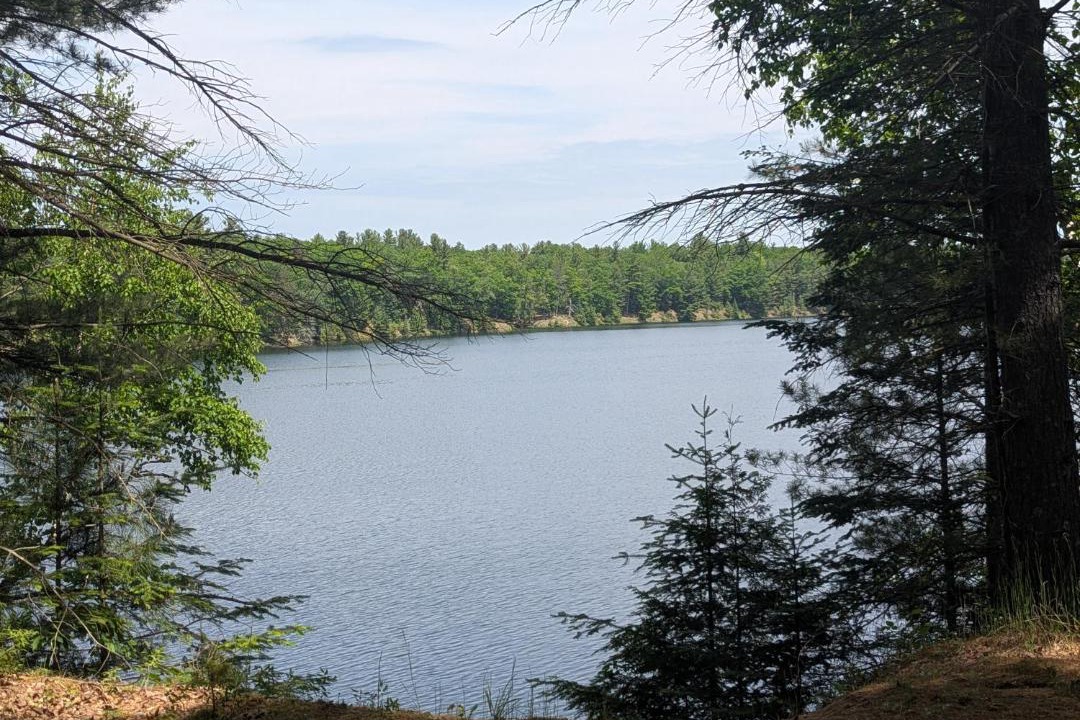 Photo of Others in Oscoda