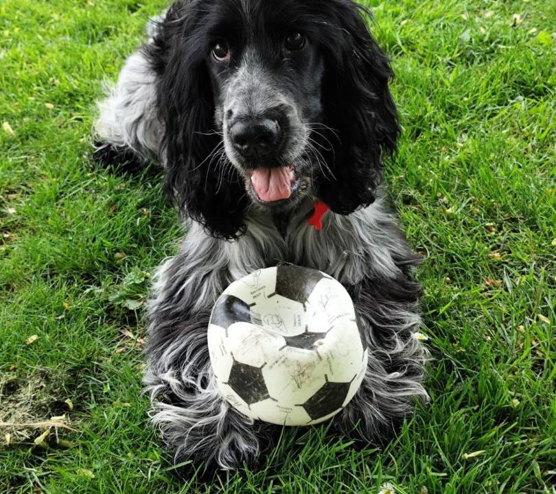 Photo of Others in Evry