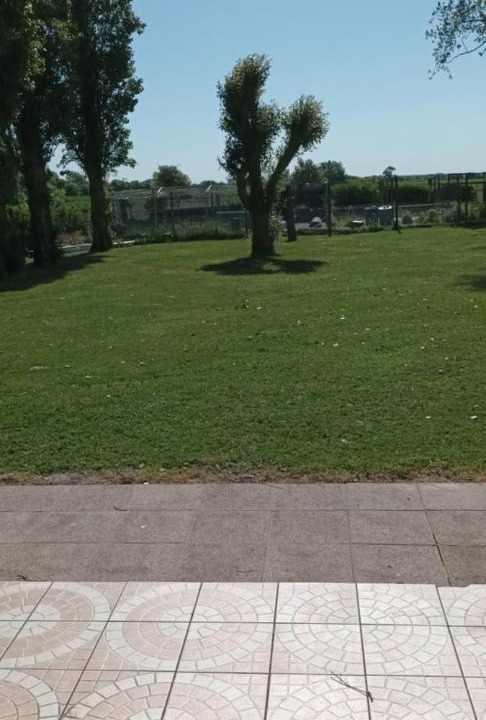 Photo of Others in Le Crotoy