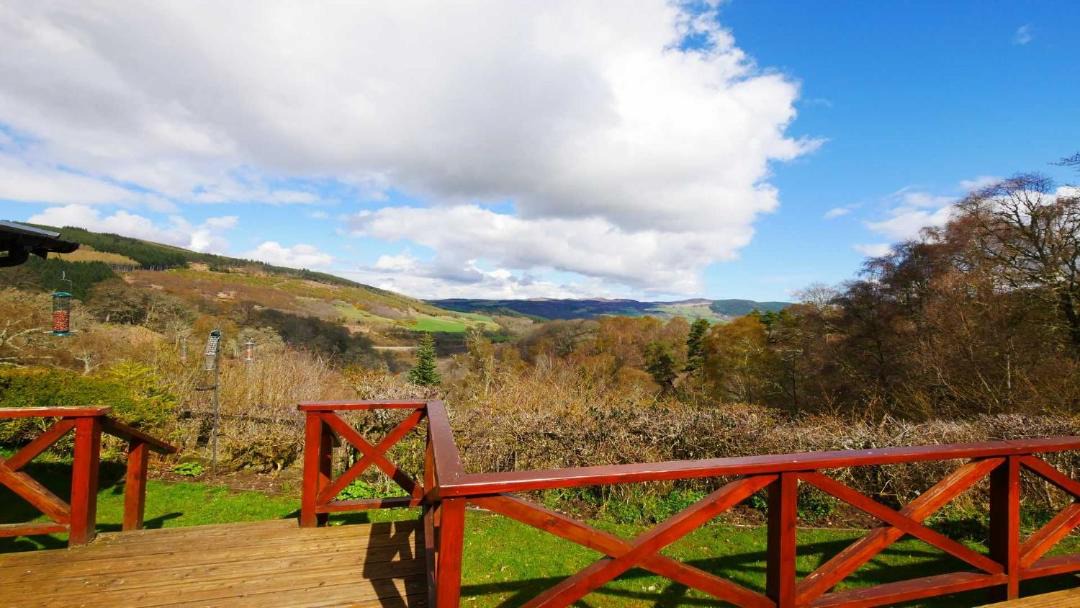 Photo of Others in Lewiston