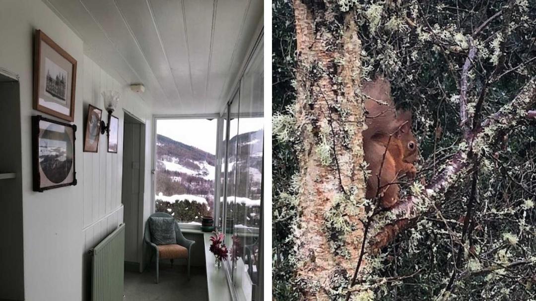 Photo of Others in Lewiston