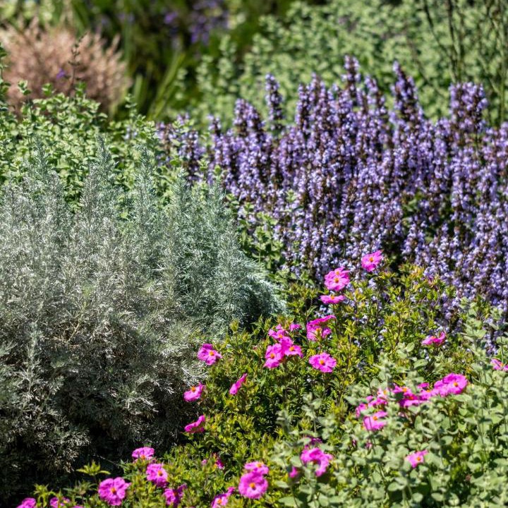 Photo of Outdoor in Limoux