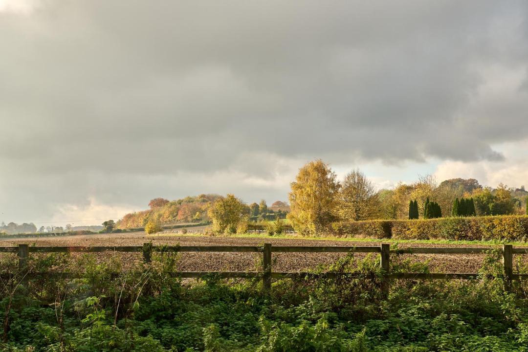 Photo of Others in Lower Froyle