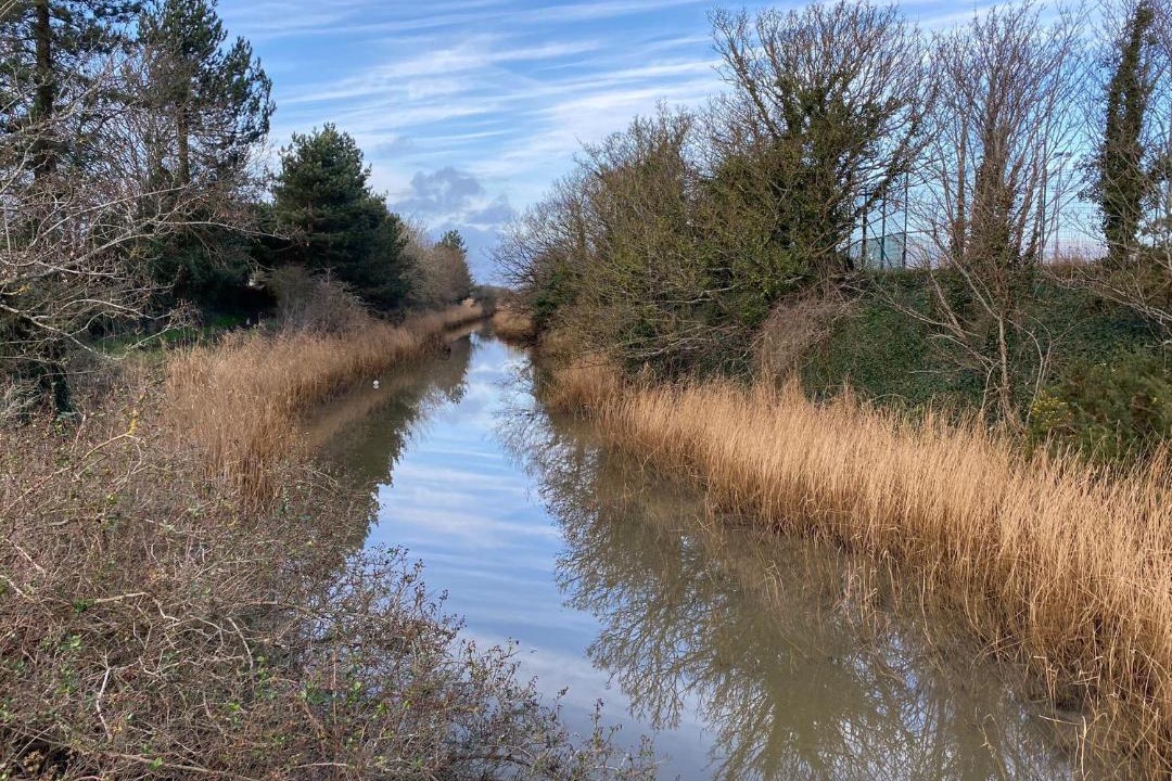 Photo of Others in Lee-on-the-Solent