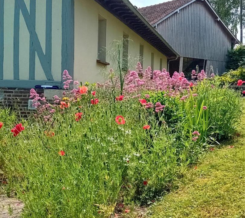 Photo of Others in Dosches