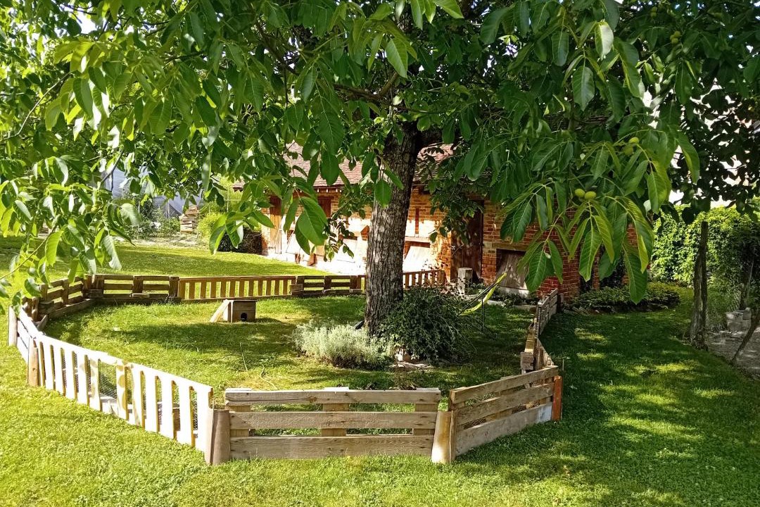 Photo of Others in Dosches