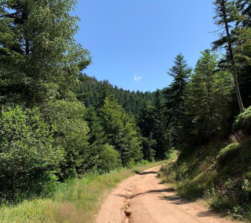 Photo of Others in Arconsat