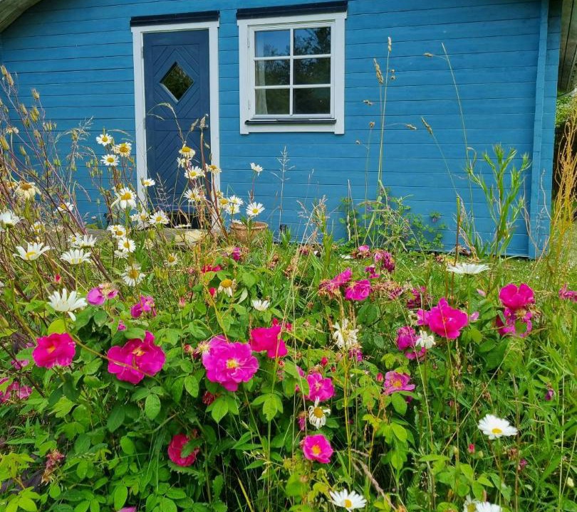 Photo of Others in Maribo