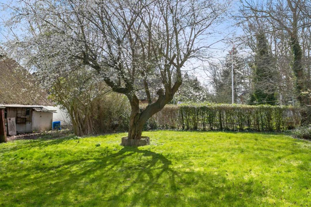 Photo of Others in Sollested