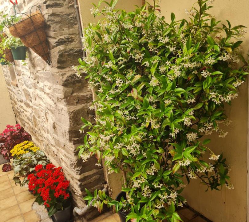 Photo of Others in Pont-d'Ouilly