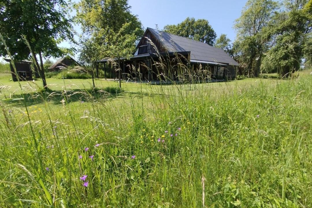 Photo of Others in Lesnoe