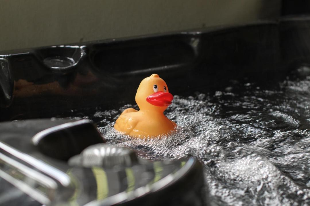 Photo of Others in Bathgate