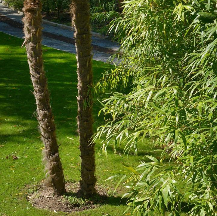 Photo of Outdoor in La Roche Foulques