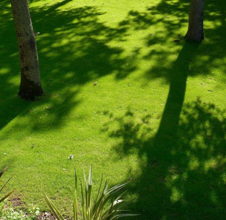 Photo of Others in La Roche Foulques