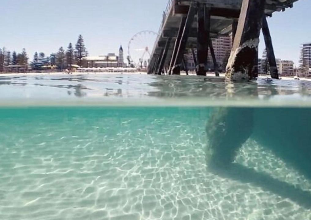 Photo of Others in Glenelg South