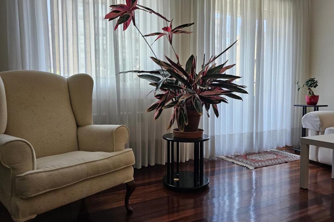 Photo of Livingroom in Zurbaran