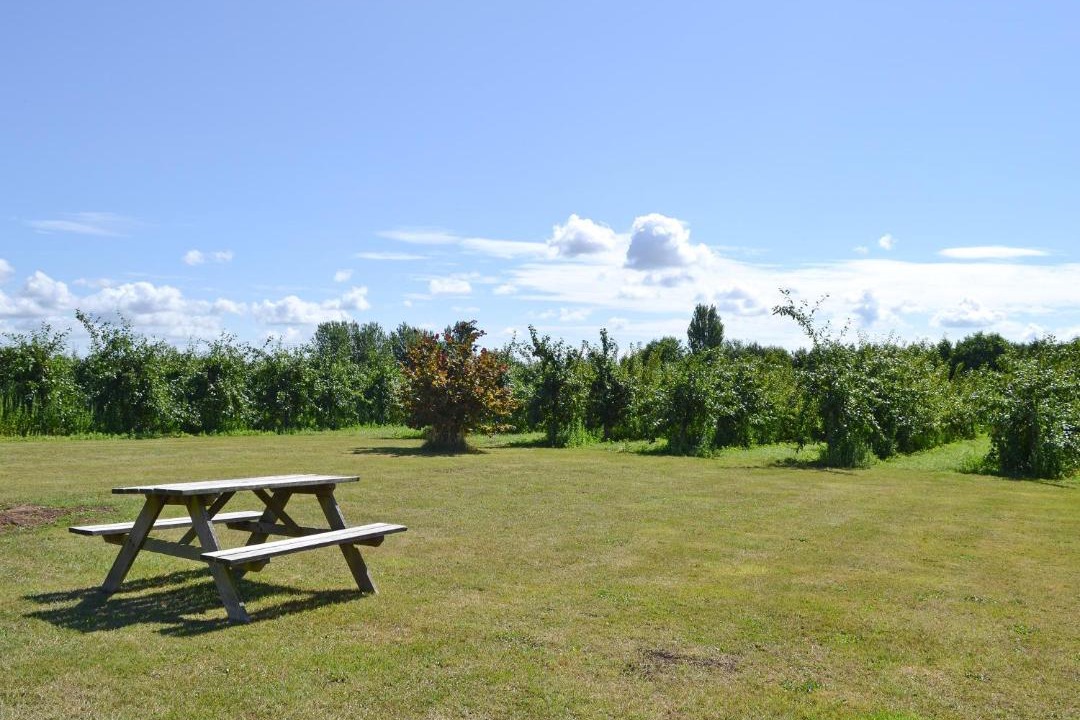 Photo of Others in Preston