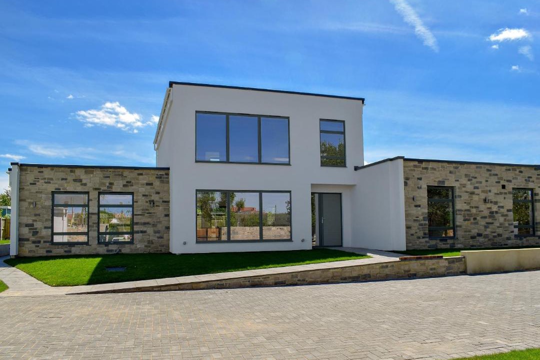 Photo of Others in Freshwater