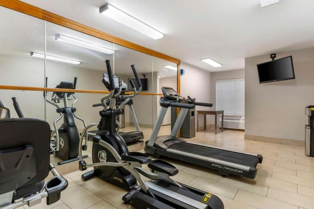 Photo of Others in Galt