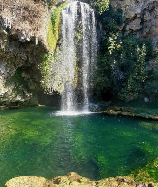 Photo of Others in Salles-la-Source