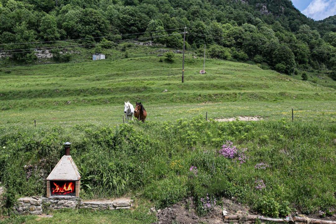 Photo of Others in Vidra