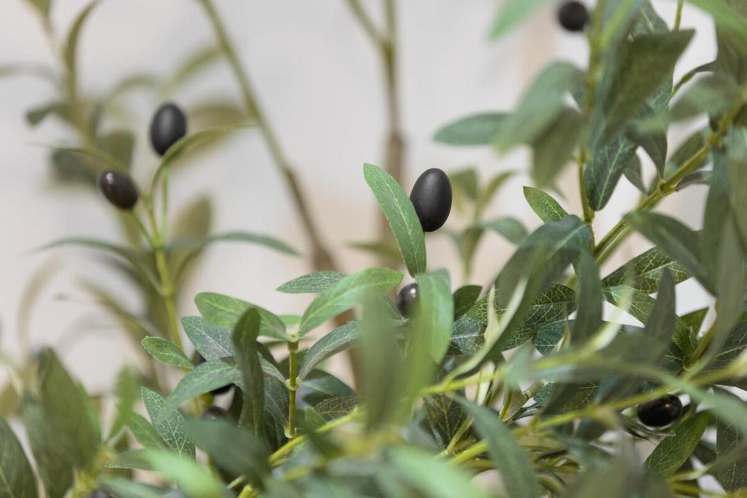 Photo of Others in Upper Edmonton