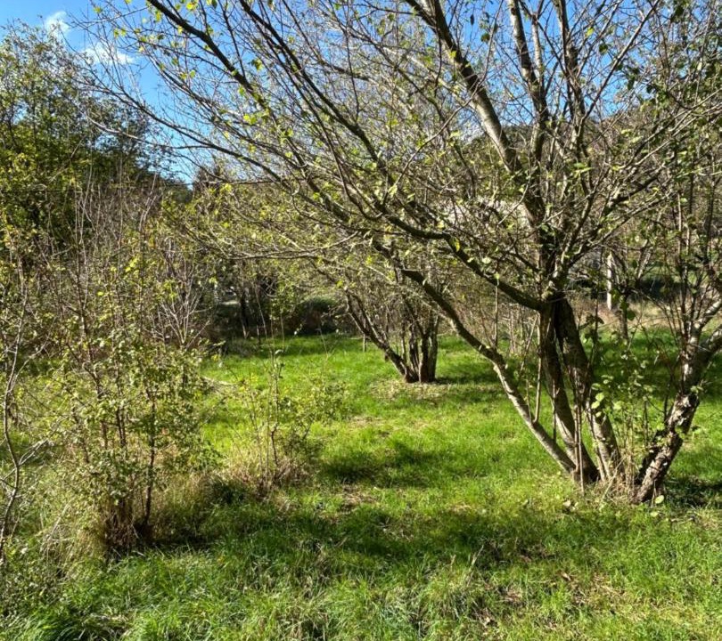 Photo of Outdoor in Fayet