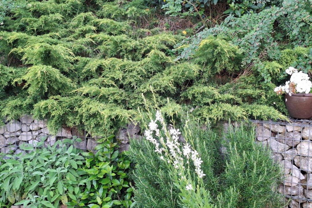 Photo of Others in Hardelot-Plage
