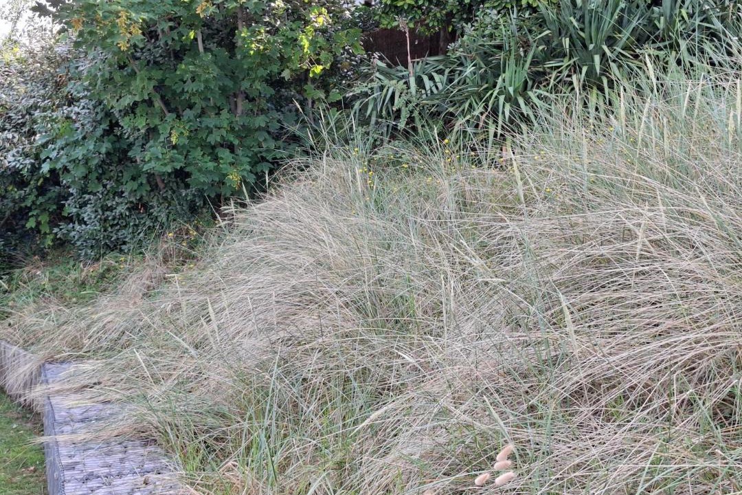Photo of Outdoor in Hardelot-Plage