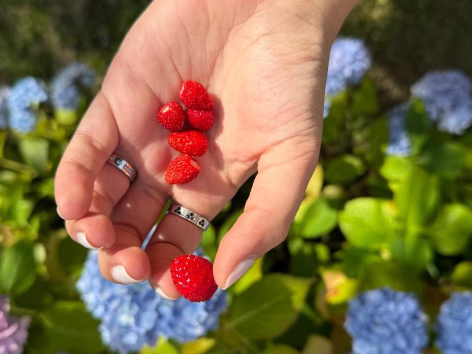 Photo of Others in Tour-en-Bessin