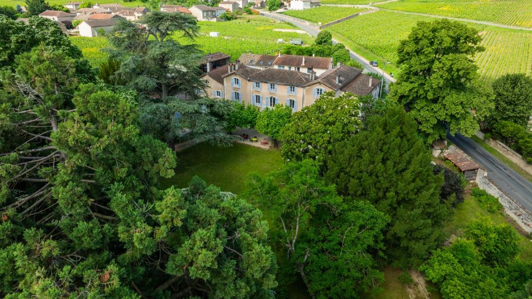 Photo of Others in Vire