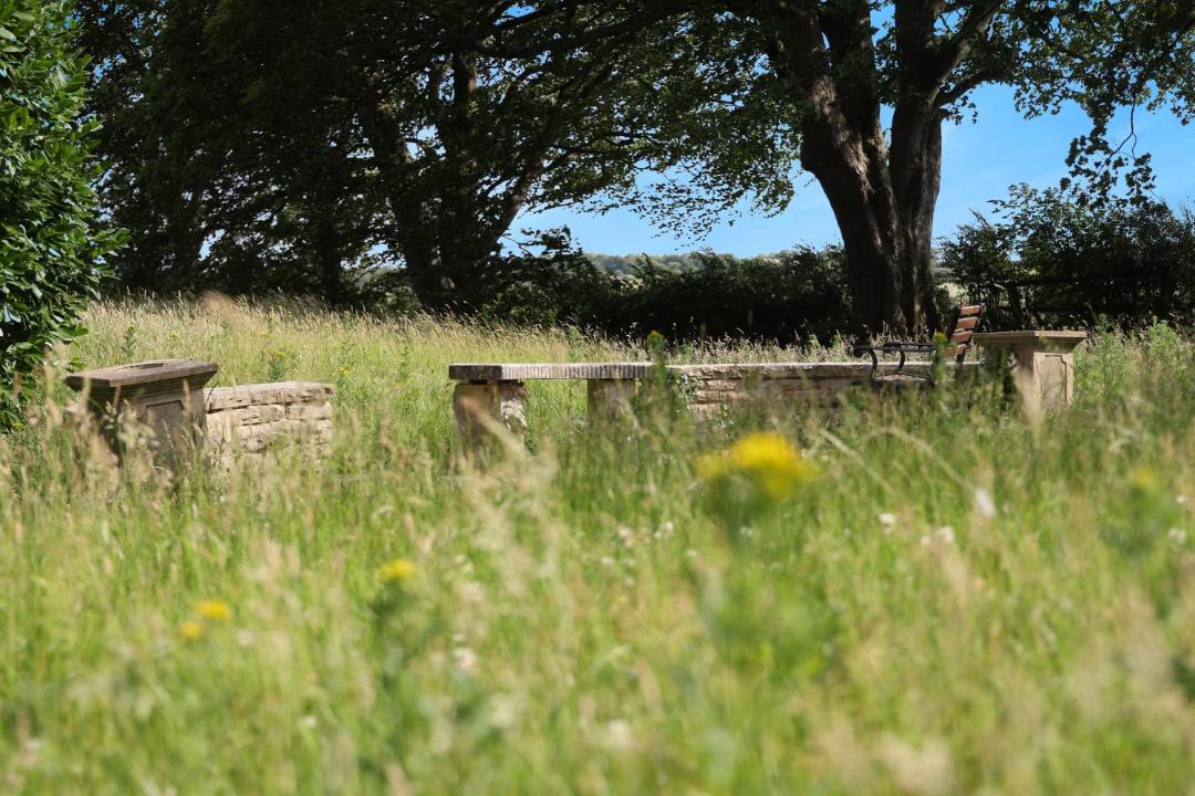 Photo of Others in Bradford