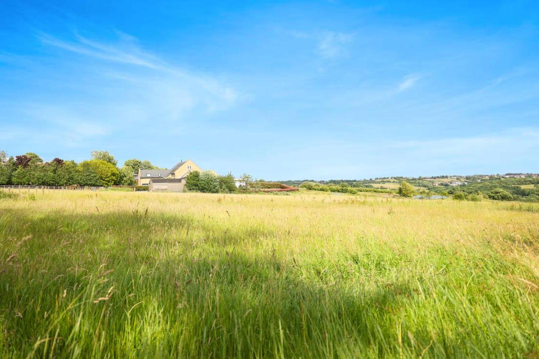 Photo of Others in Bradford