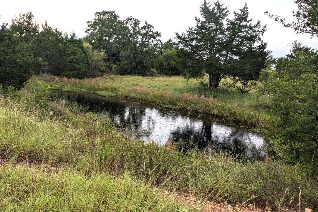Photo of Others in Cedar Creek