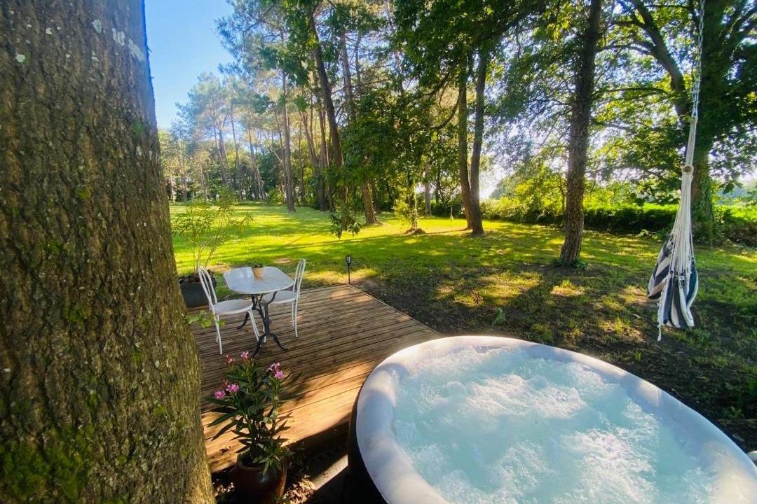 Photo of Others in Came