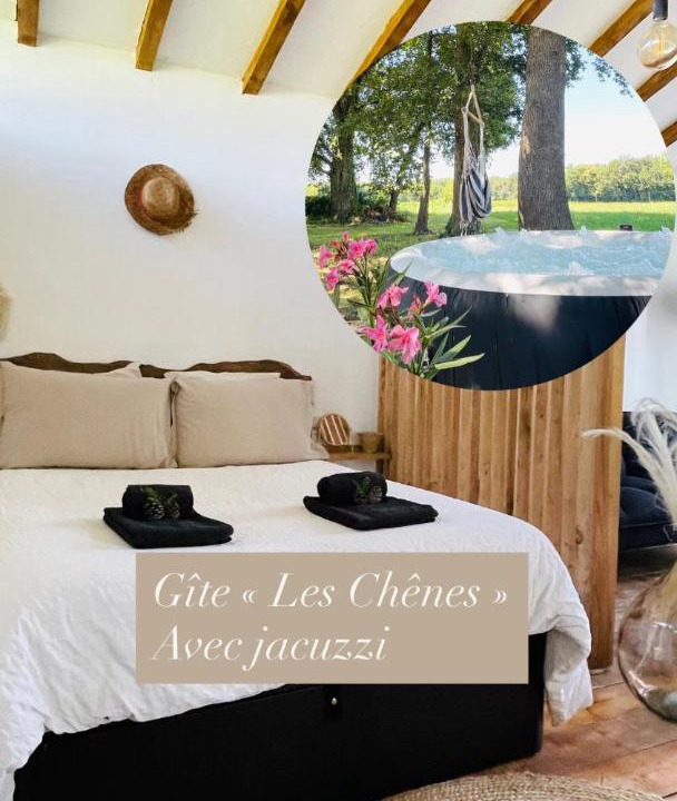 Photo of Others in Came