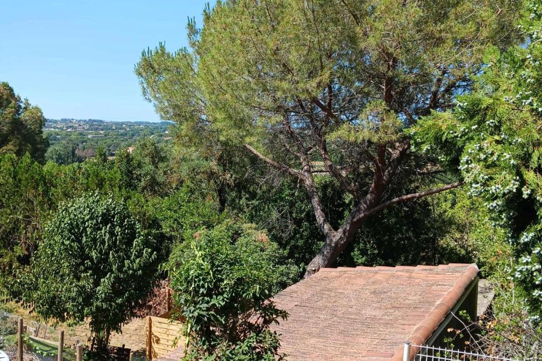 Photo of Others in Beziers