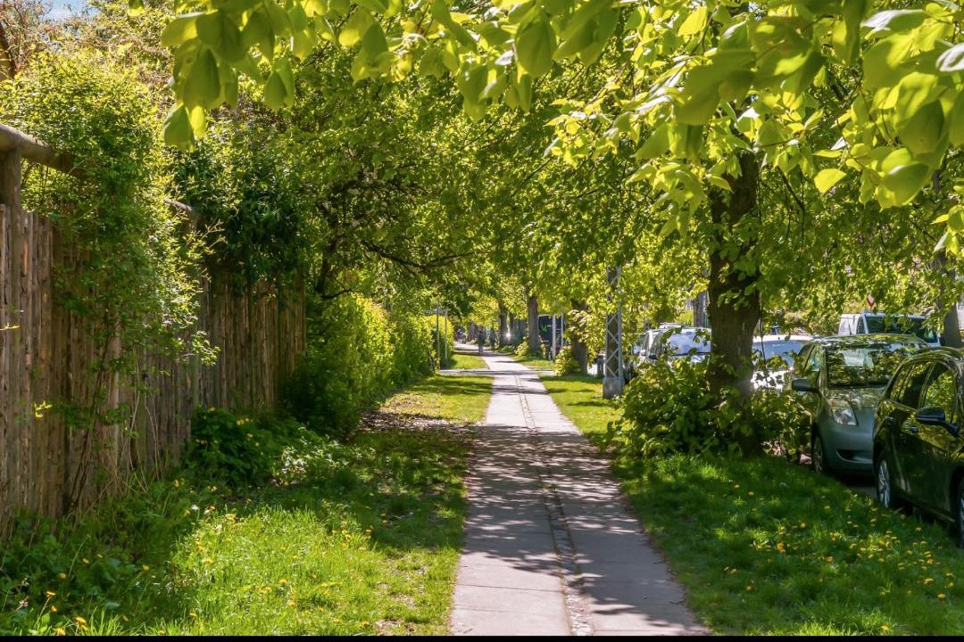 Photo of Others in Frederiksberg