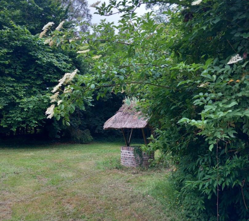Photo of Others in Saint-Thurien