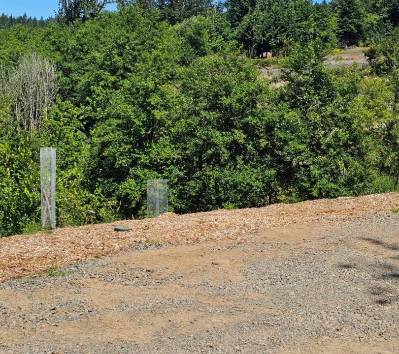 Photo of Others in Carrolls