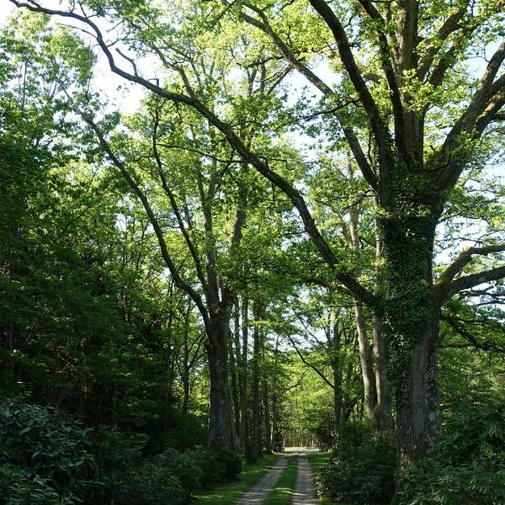 Photo of Others in Nancay