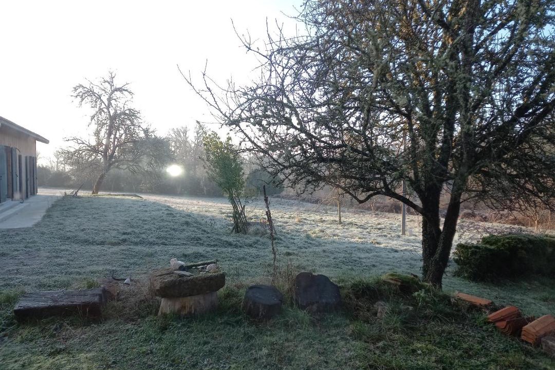 Photo of Others in Cheronnac