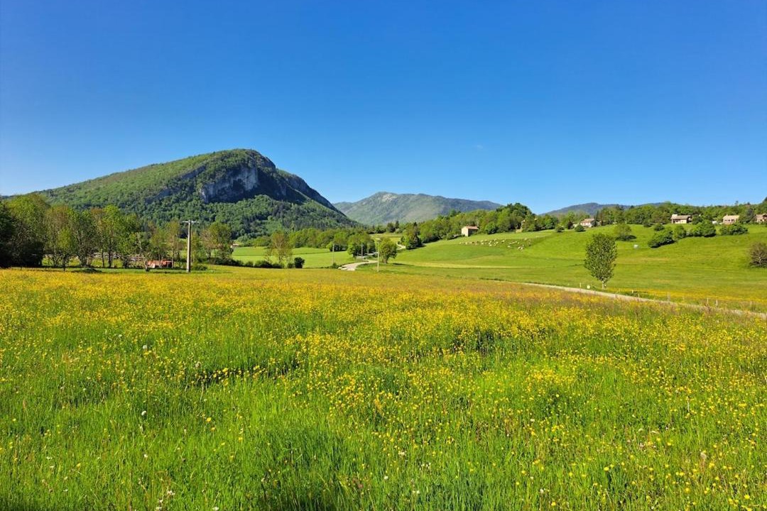 Photo of Others in La Chapelle-en-Vercors