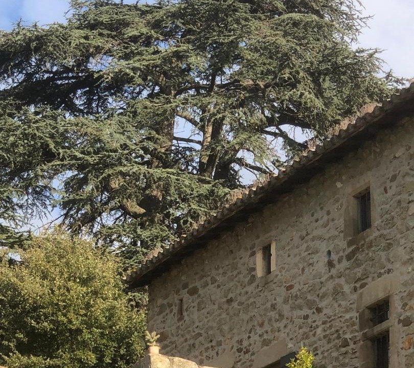 Photo of Others in Beauchastel