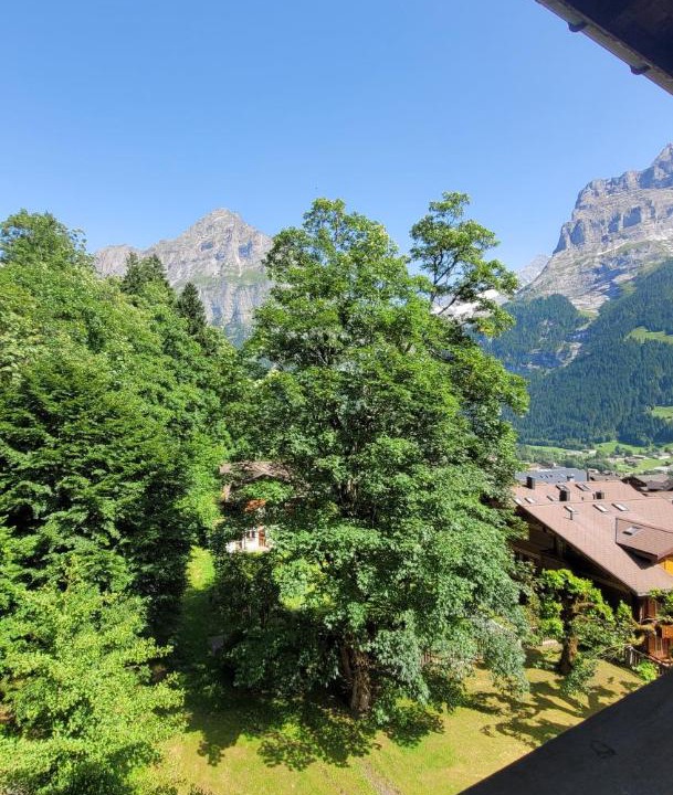 Photo of Others in Grindelwald