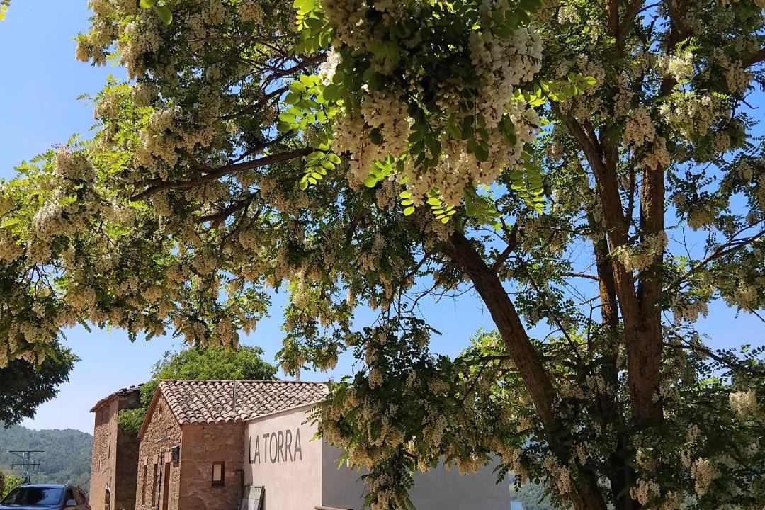 Photo of Others in La Baronia de Rialb